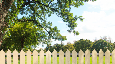 billedet viser et hegn mellem haver