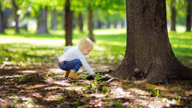 Barn sidder på hug i skovbunden
