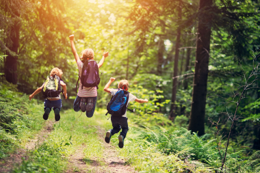 Billedet viser børn i en skov