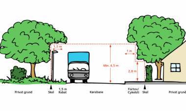 Illustration der viser, hvordan din hæk skal være beskåret