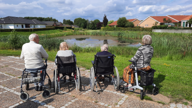 Daghjem Hammel på udflugt