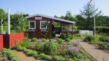 Kolonihave for mennesker med demenssygdom