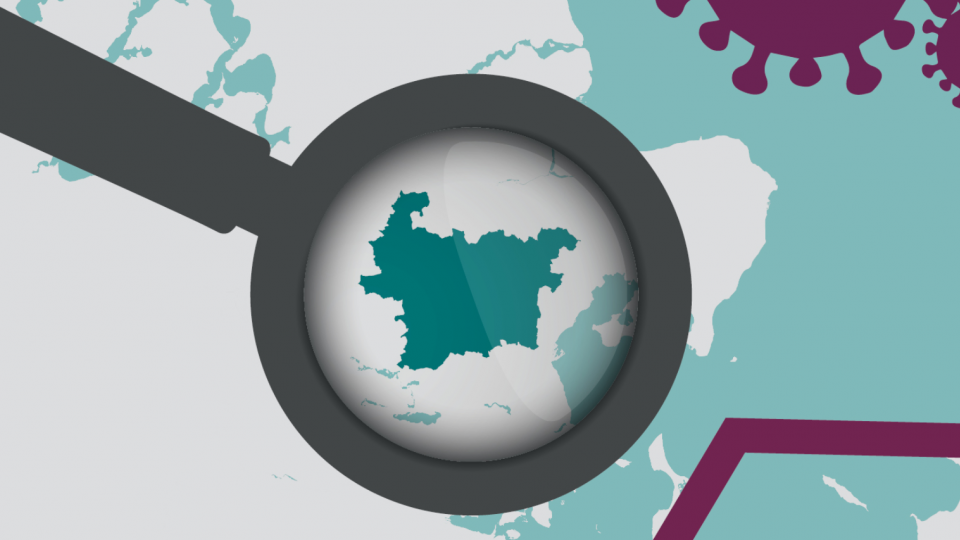 Billedet viser en dekorativ grafik