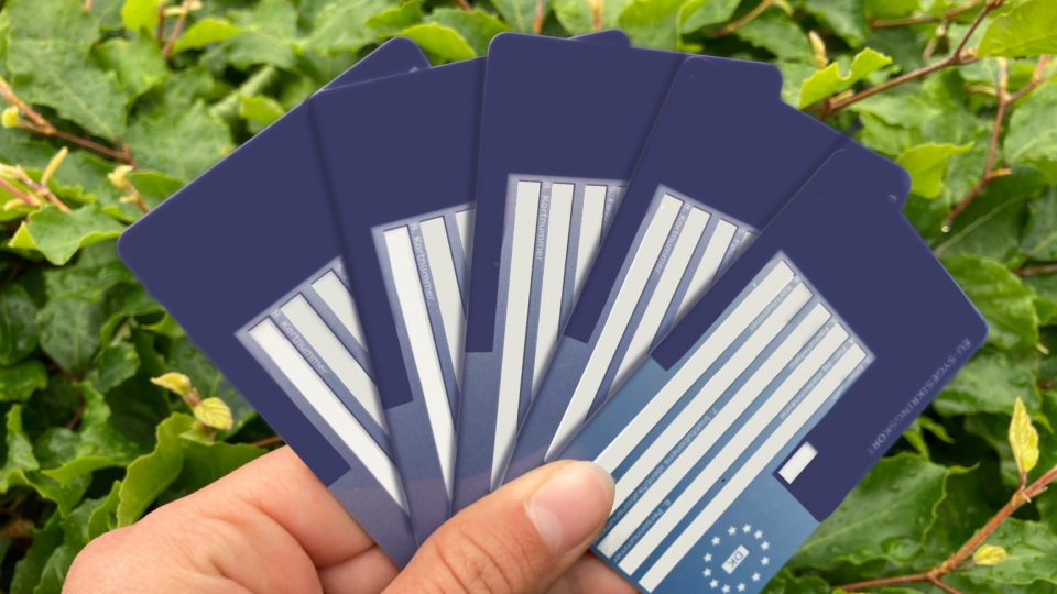 Det blå EU-sygesikringskort