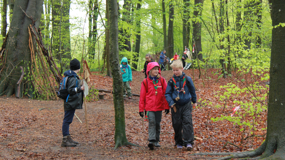 Spejdere i skoven
