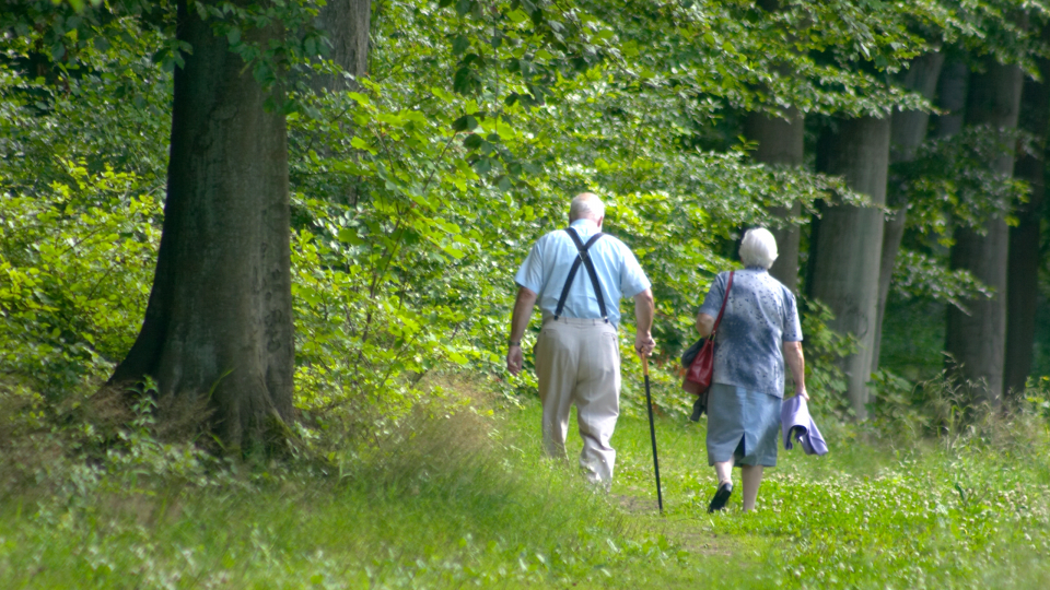 Ældre der går tur