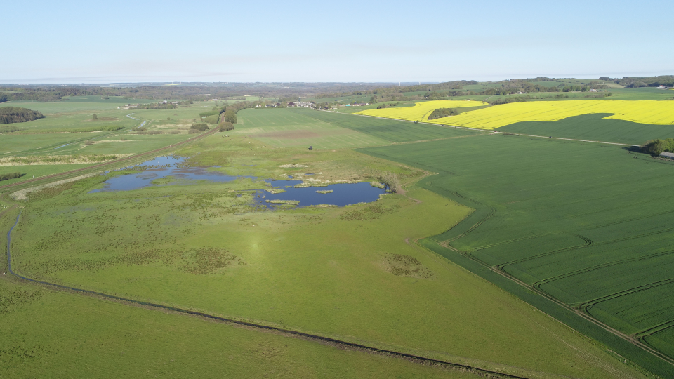 Favrskov Enge sommerbillede