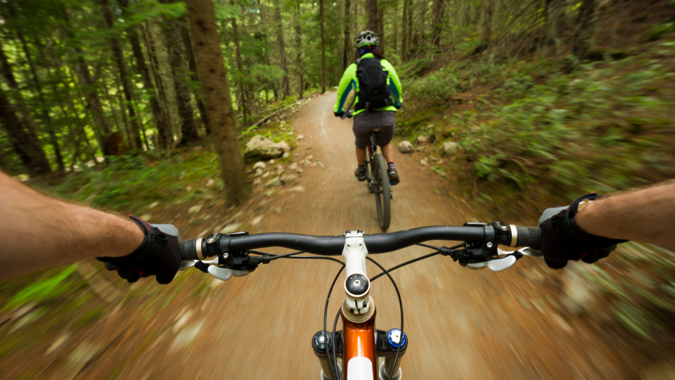 Cykelryttere i skoven