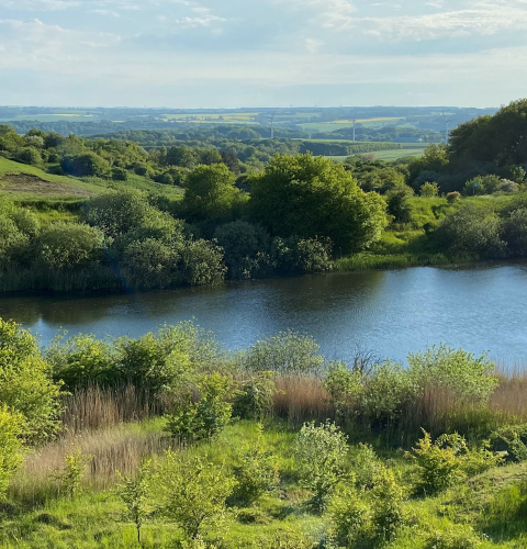 Udsigt fra Lysnet over sø