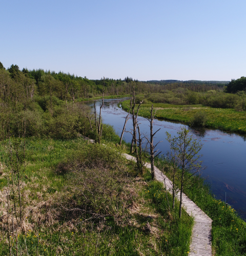 Trækstien ved Ulstrup