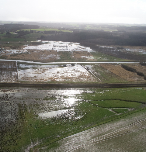 Favrskov Enge dronefoto