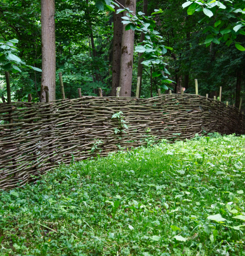 Viser et hegn i skel