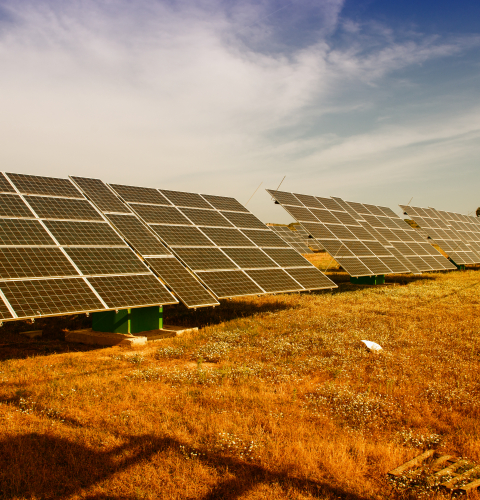 Solceller på en mark