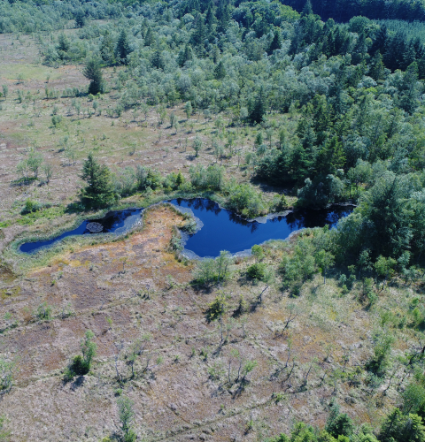 Dronefoto fra Tinning Mose