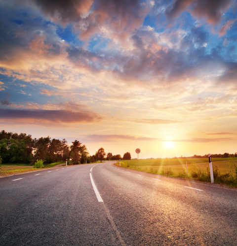 Billedet viser en landevej