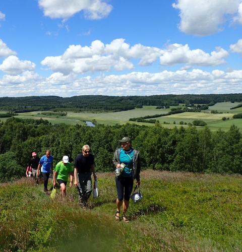 Naturvejlederen med en gruppe på Busbjerg ved Ulstrup