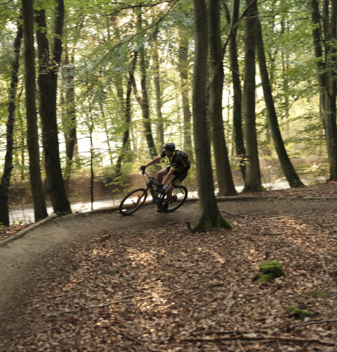Cyklist i skoven