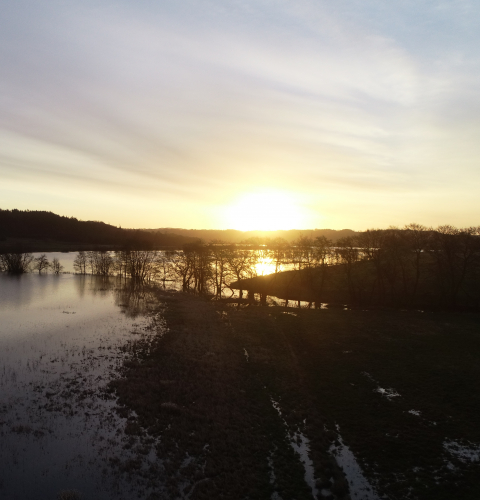 Gudenåen i solopgang