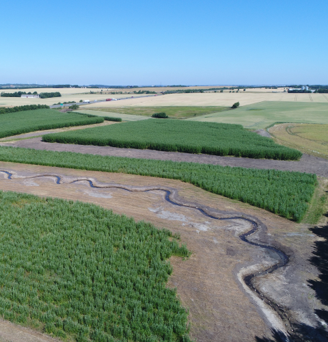 Dronefoto af Drostrup bæk