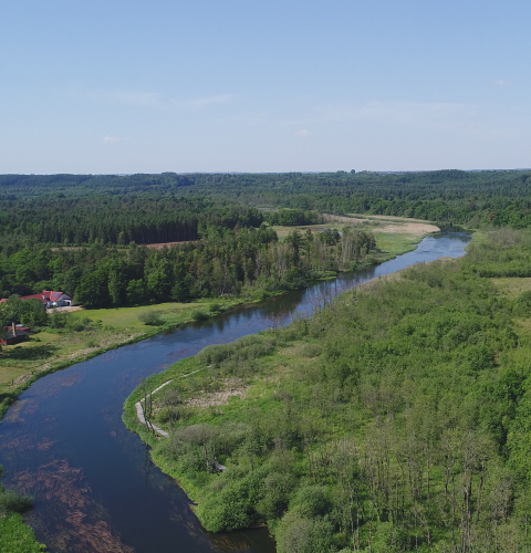 Gudenåen ved Vejerslev