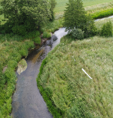 Dronefoto af Lilleåen ved Lerbjerg