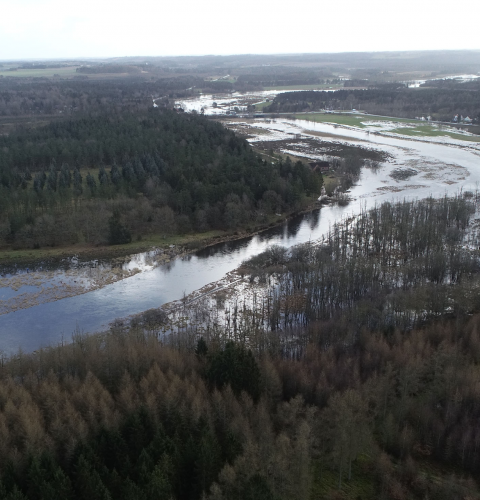 Gudenåen ved kongensbro