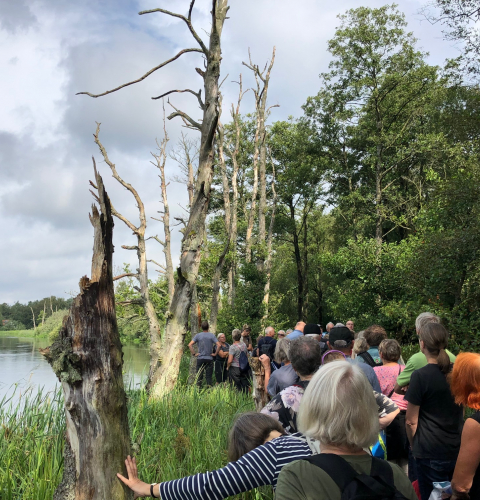En stor gruppe mennesker på tur med naturvejlederen