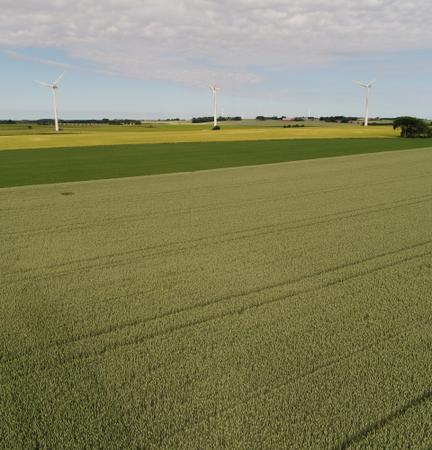 Vindmøller på en mark