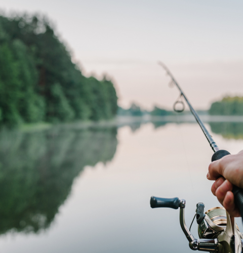 Hånd der holder en fiskestang