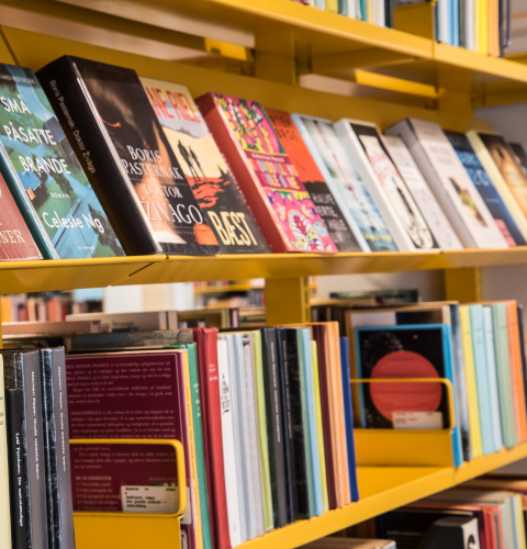 Bøger på reol på bibliotek