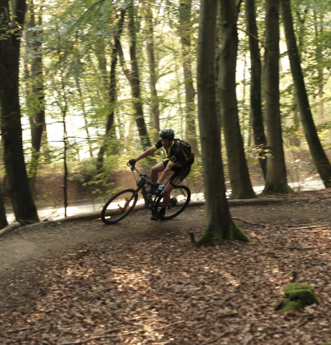 Mountainbike i skoven