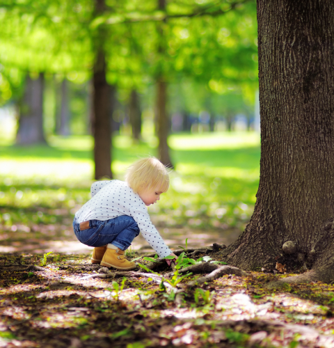 Barn sidder på hug i skovbunden