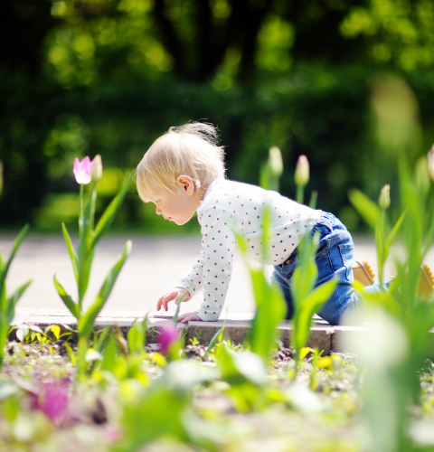 Barn plukker tulipan