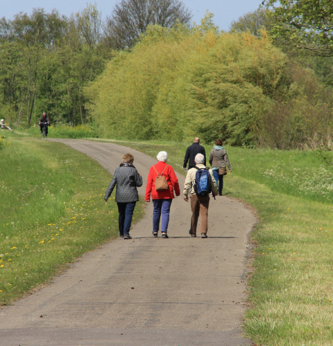 Mennesker på gåtur i grønt område